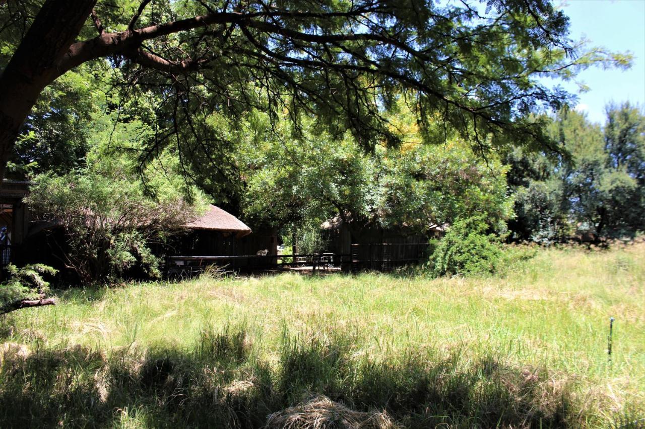 Ikamu'S Lodge Germiston Exterior photo